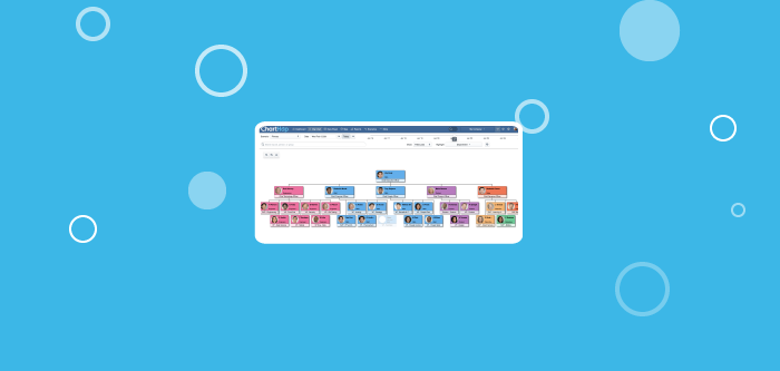 5 things to consider when shopping for organizational chart software